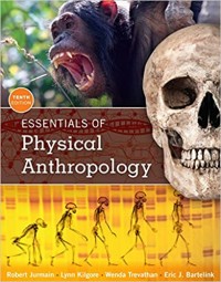 Essentials of Physical Anthropology seond edition