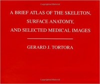 A brief Atlas of the Skeleton, Surface Anatomy, and selected Medikal Images