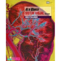 At a Glance Obstetri Sistem Ginjal : Edisi Kedua