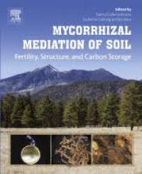 Mycorrhizal Mediation of Soil: Fertility, Structure, and Carbon Storage