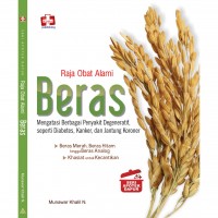 Raja Obat Alami: Beras