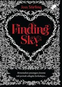 Finding Sky