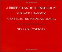 A brief Atlas of the Skeleton, Surface Anatomy, and selected Medikal Images