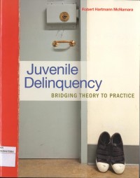 Juvenile Delinquency: Bridging Theory to Practice
