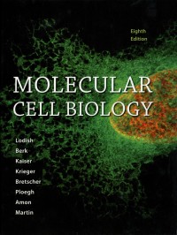 Molecular Cell Biology eighth edition