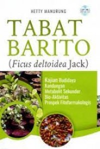 Tabat Barito (Ficus Deltoidea Jack)